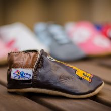 Ţup-Ţup Primii paşi botoşei maro