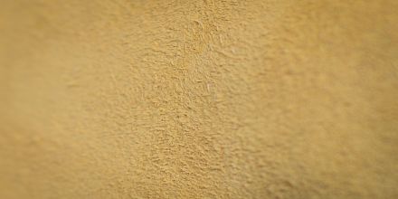 Ţup-Ţup primii paşi botoşei maro